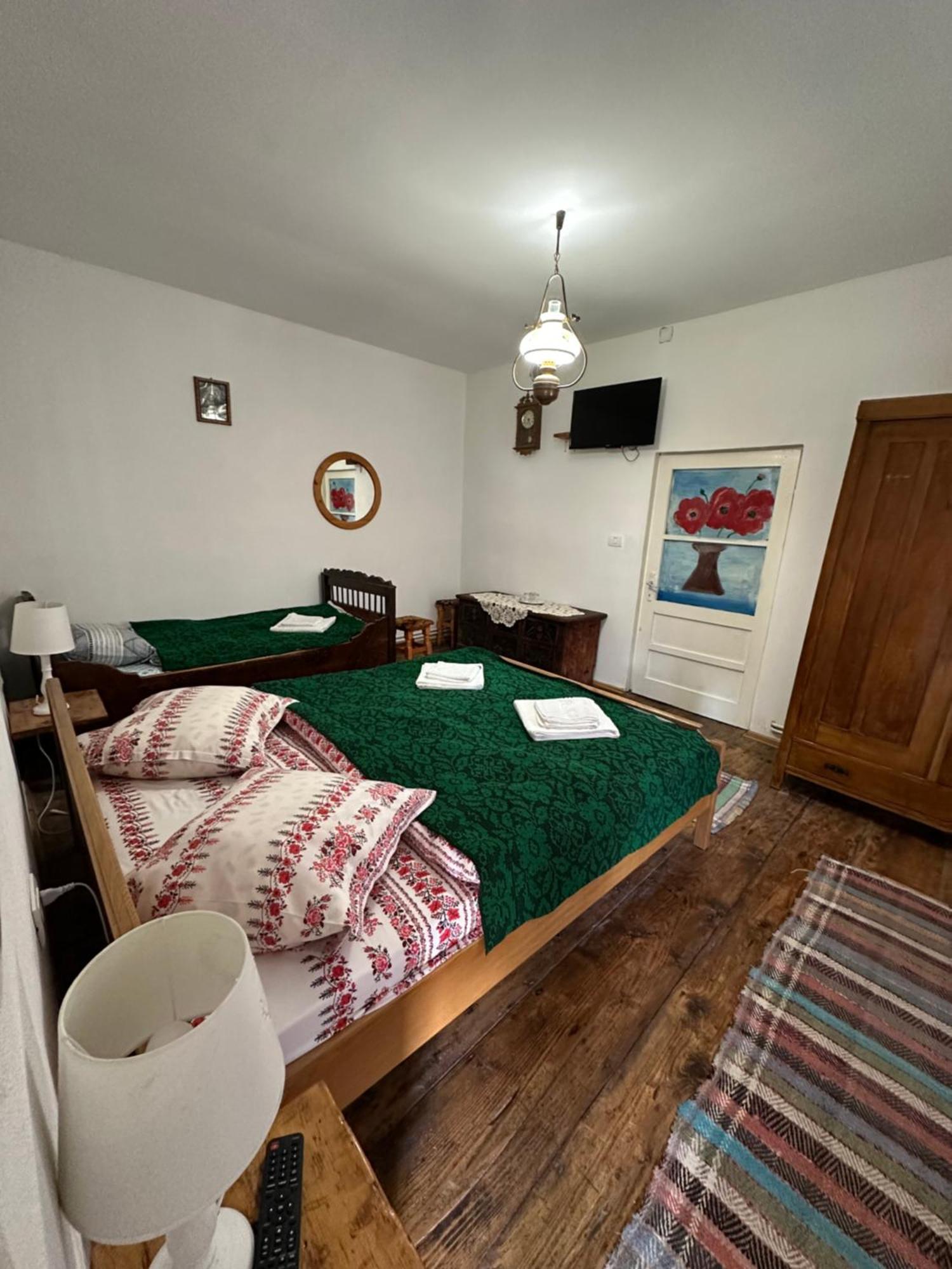 Maison d'hôtes Casa Pe Valea Hartibaciului à Barcut Extérieur photo
